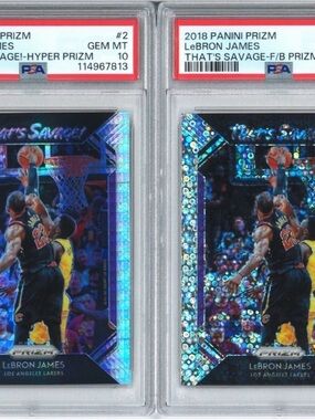 Panini Lebron James Guranteed Raw/Graded Card Rookie/Slabs/Patches Etc